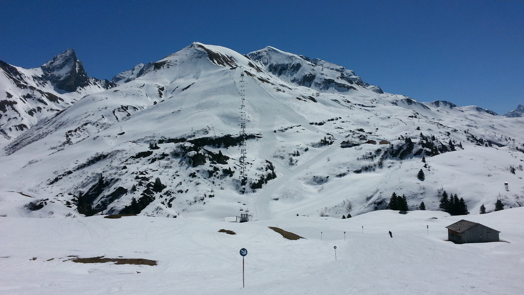 20150421_123045e8uln.jpg