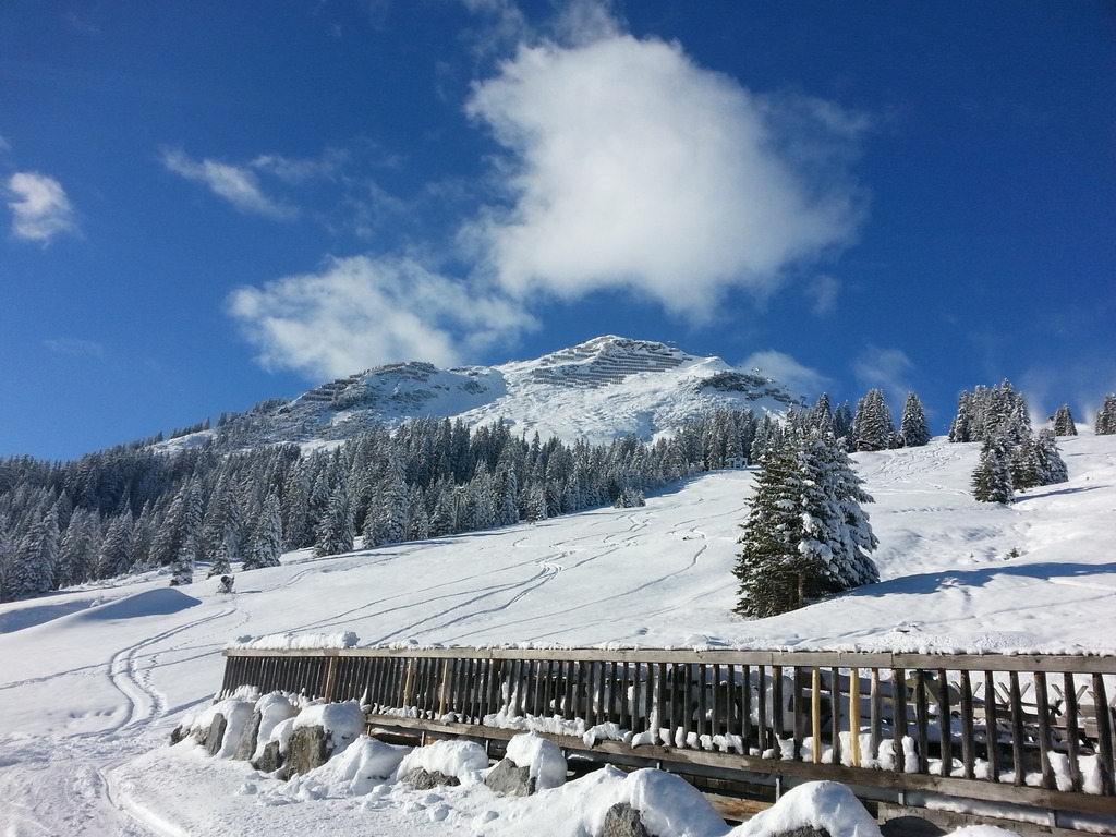 20151123_134830zsp4n.jpg