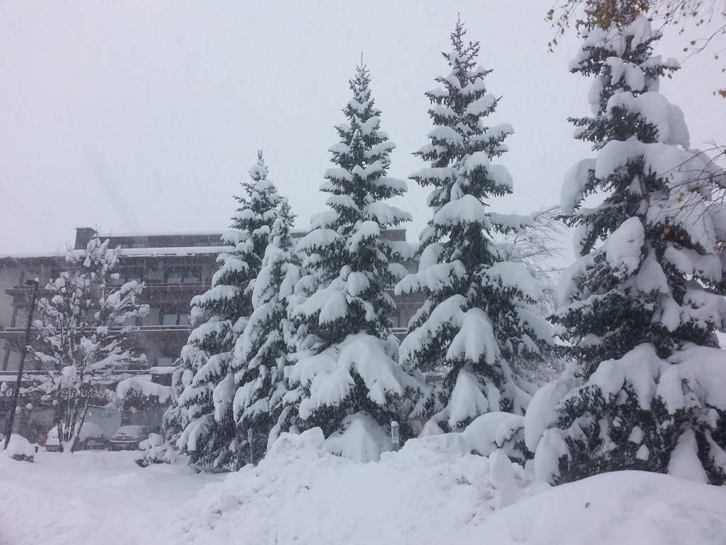 20151126_085426cnl22.jpg