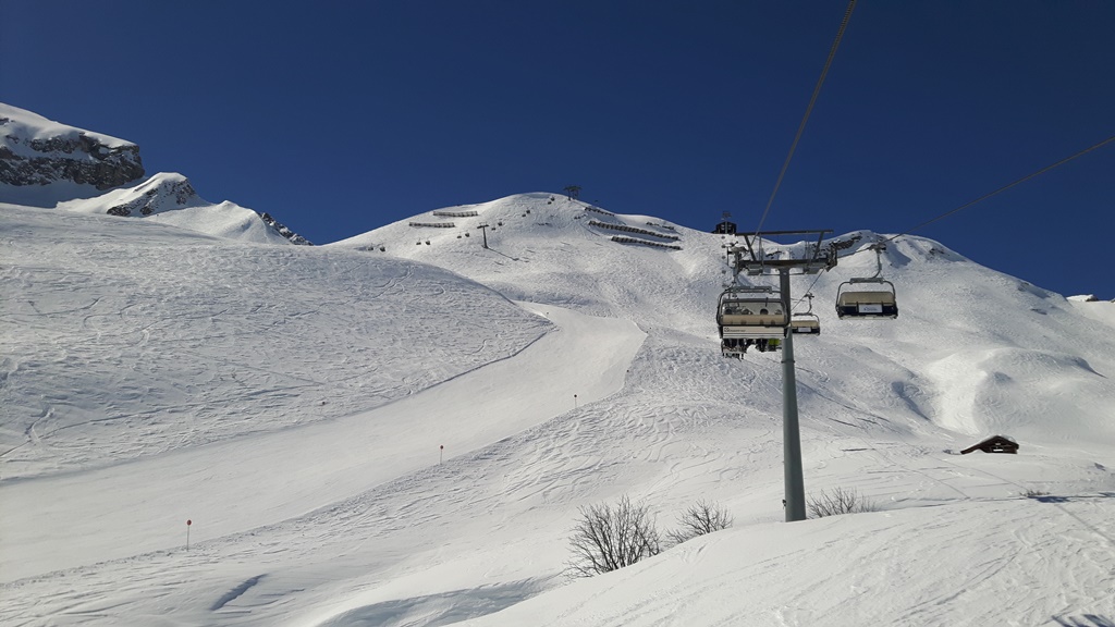 20160319_124247tnuog.jpg