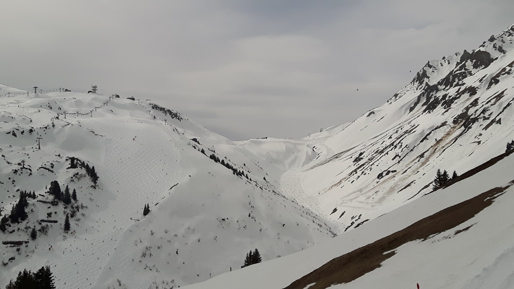 20160402_1539497cqcj.jpg