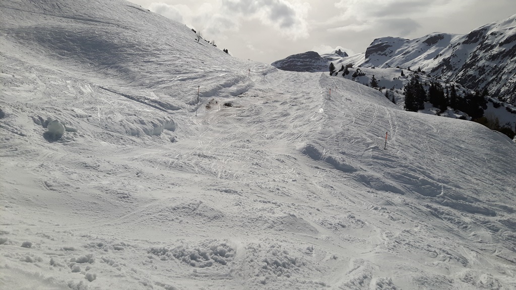 20160403_153014nxk9m.jpg