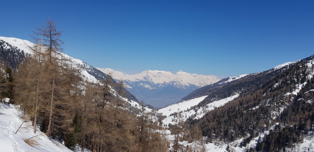 20180324_114828pnolo.jpg