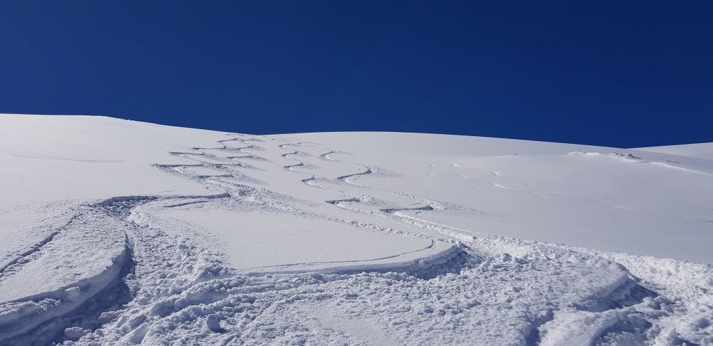 20180401_1154050xhooc.jpg