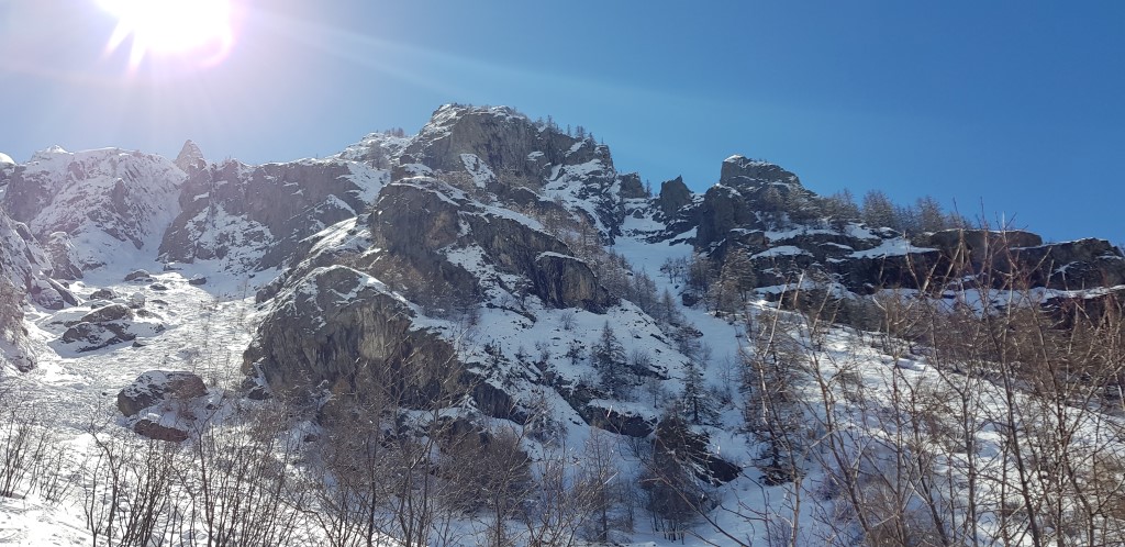 20180401_14462583sgp.jpg