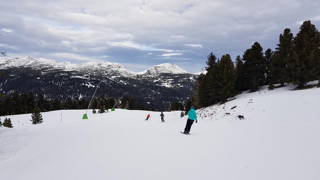 20181202_101943copy33d1i.jpg
