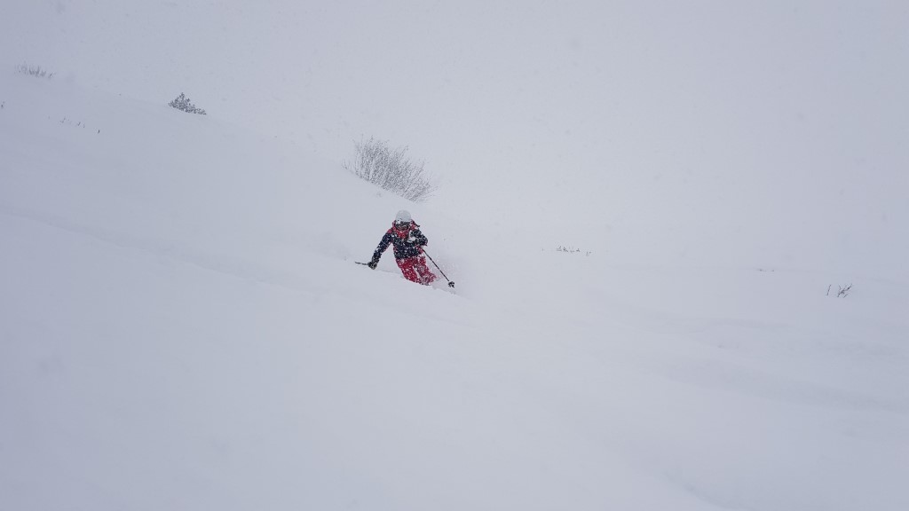 20181210_124405x5drf.jpg