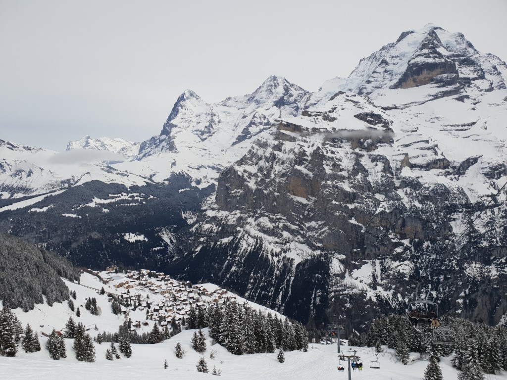 20190302_1429086sj28.jpg