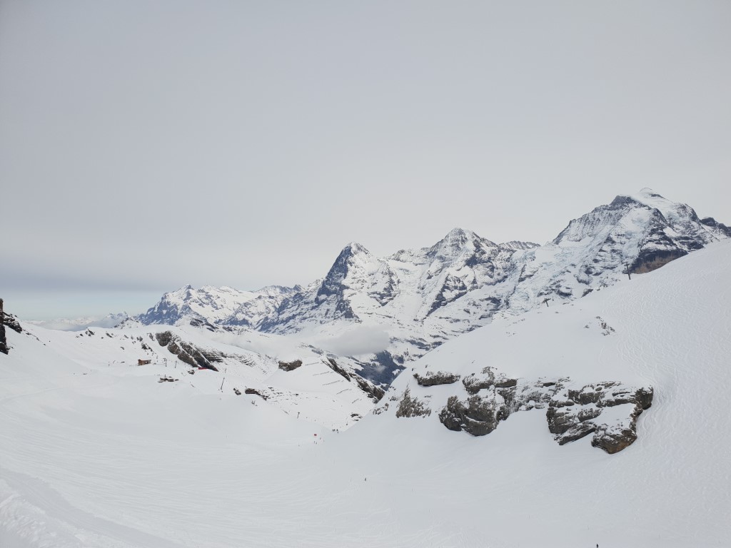 20190302_145258o3jy3.jpg
