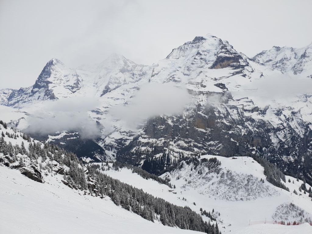 20190302_145929bik8h.jpg