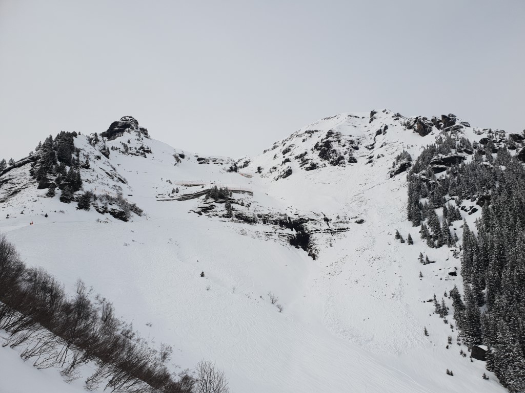 20190302_1502270xjth.jpg