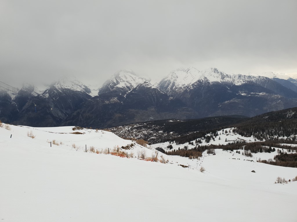 20190304_094948f8kt5.jpg