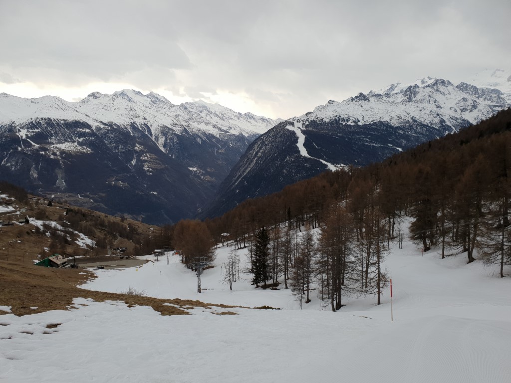 20190304_095354kajm5.jpg