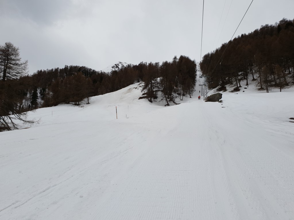 20190304_0956006lkmx.jpg