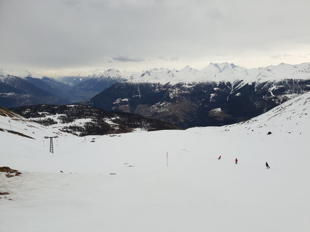 20190304_100529apk6j.jpg