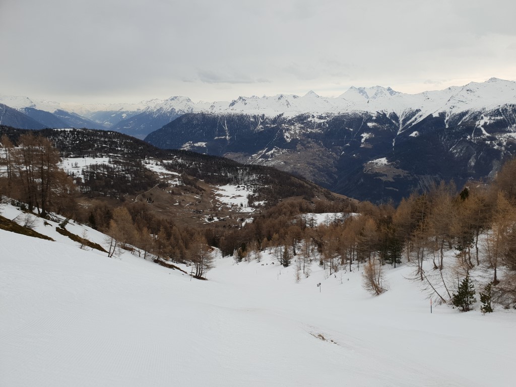 20190304_100739y7kwx.jpg