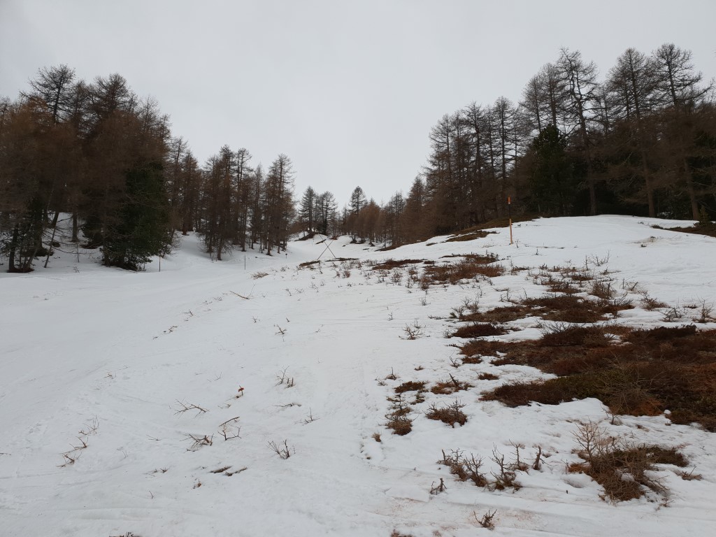 20190304_101008uzk2d.jpg