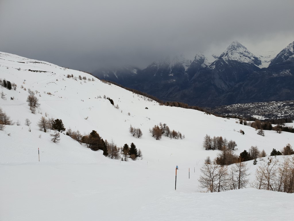 20190304_104036pjk08.jpg