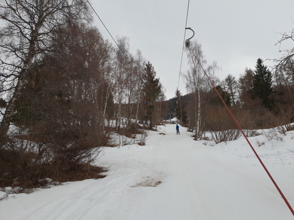 20190304_111337twjsn.jpg