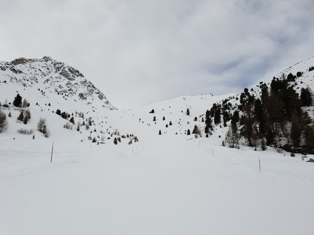 20190306_1215267zjfp.jpg
