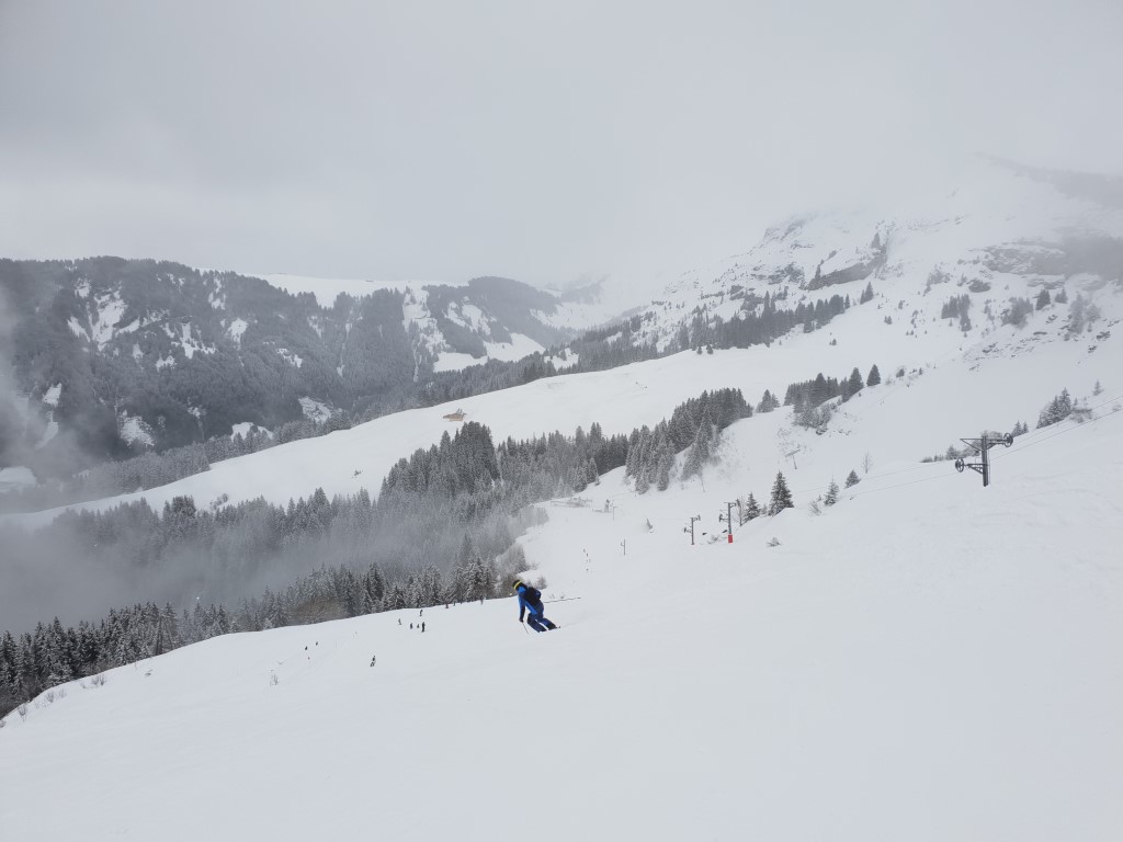 20190307_113330bckdv.jpg