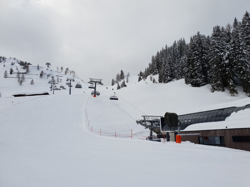 20190320_101310ejj2v.jpg