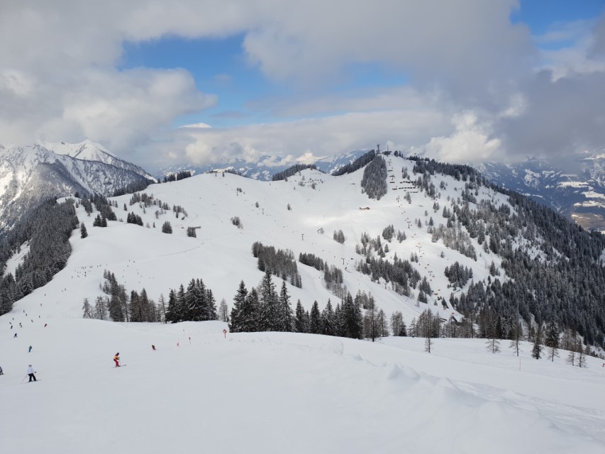 20190320_1018451fjoo.jpg