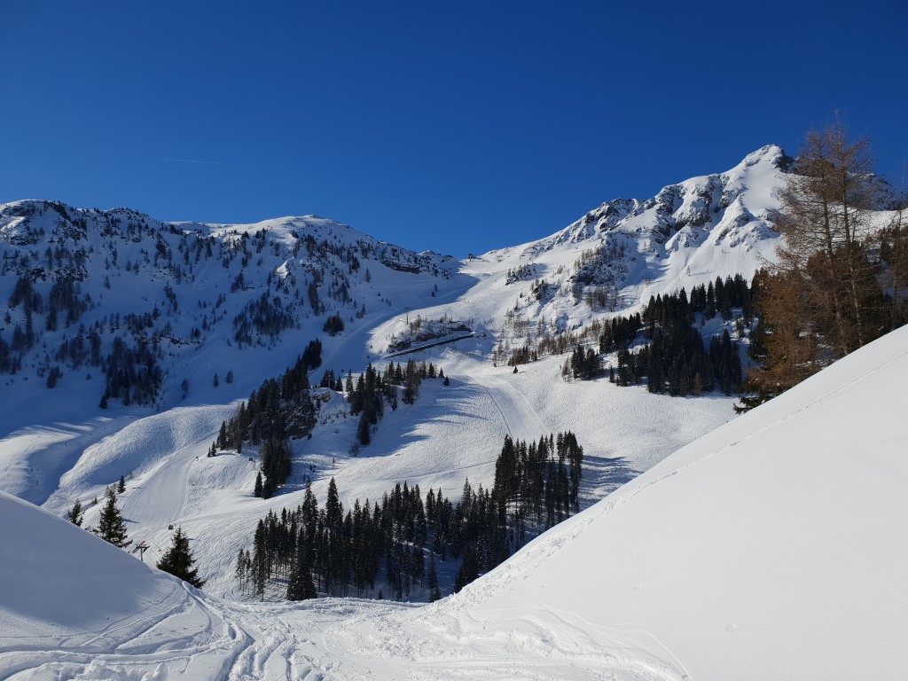 20190321_0846144eknd.jpg