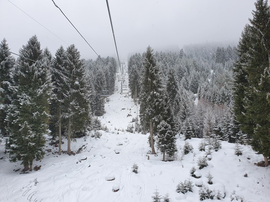20200223_115538oak4y.jpg