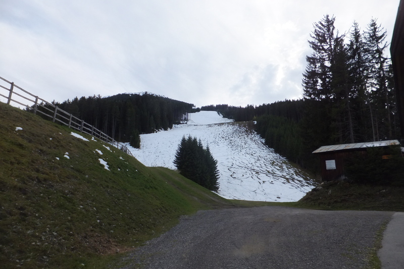 dscf7740xefxf.jpg