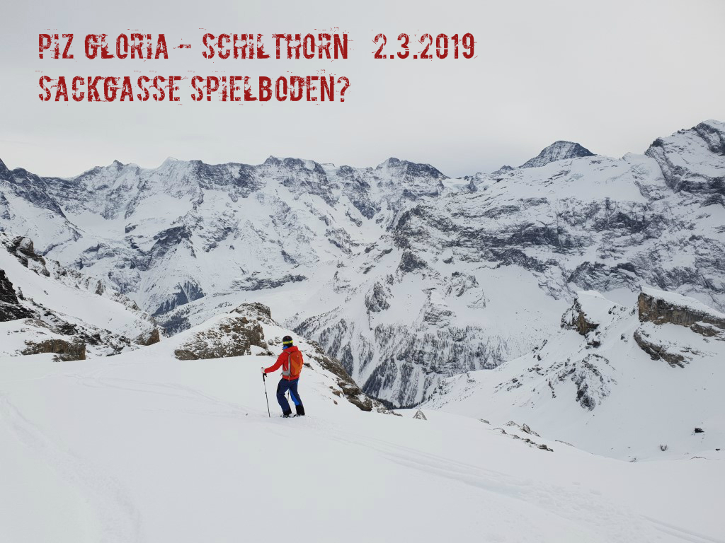 schilthornpkkid.jpg