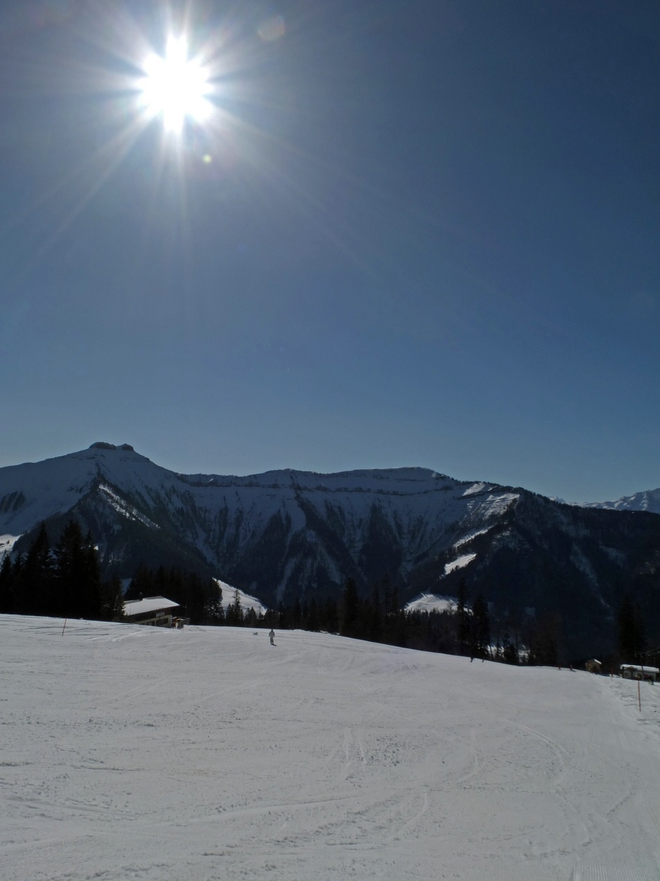 dscf8333ajqy2r.jpg