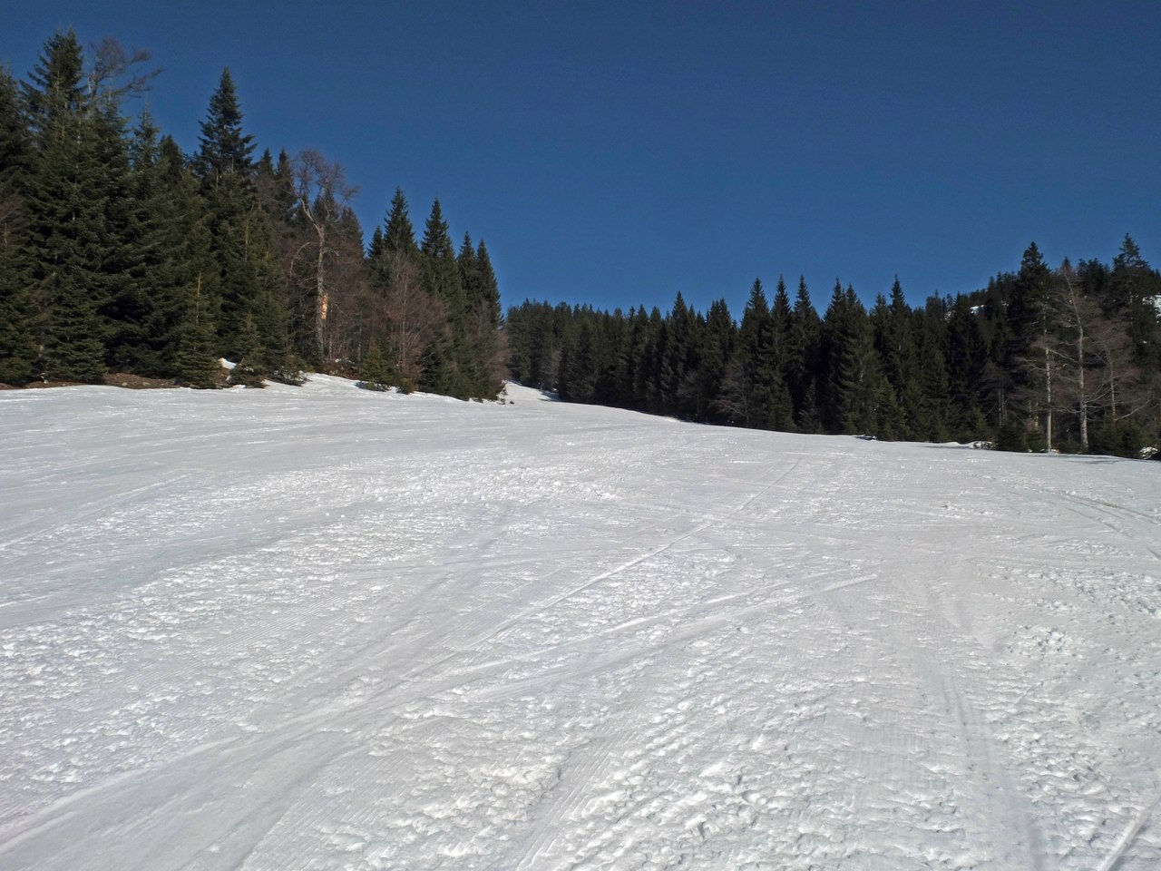 dscf8367arkzyc.jpg