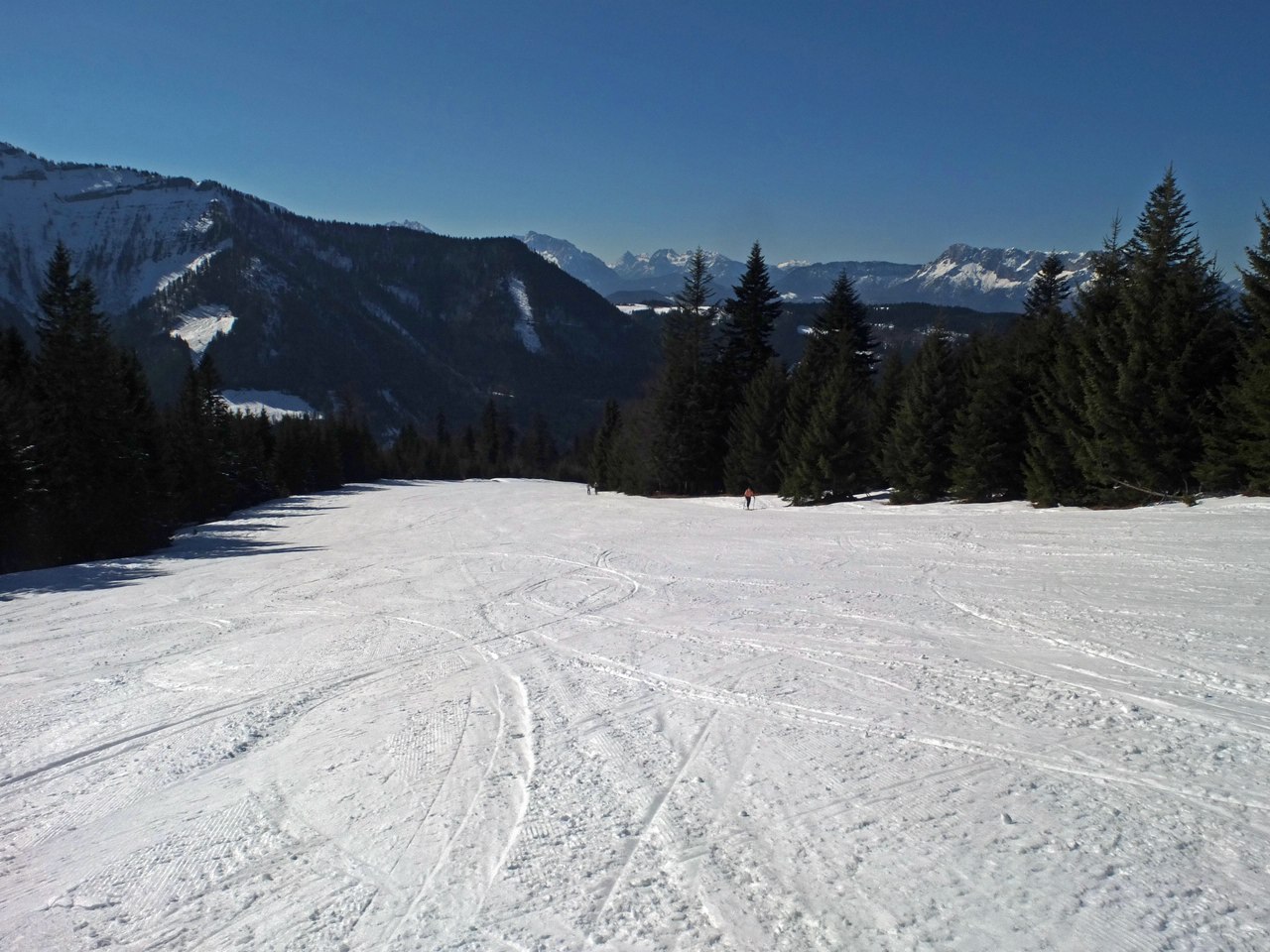 dscf8368aflzed.jpg