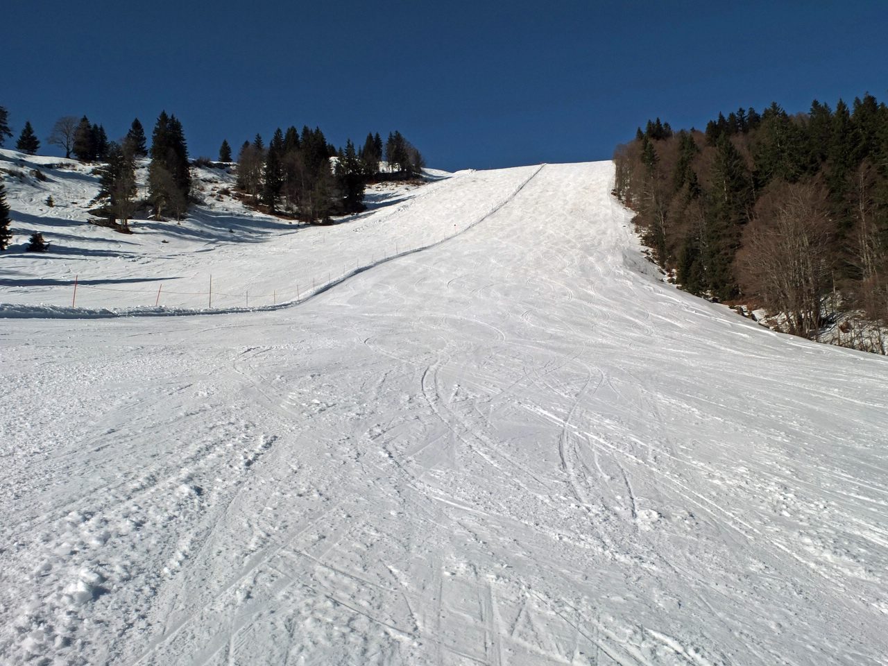 dscf8381a1hbzu.jpg