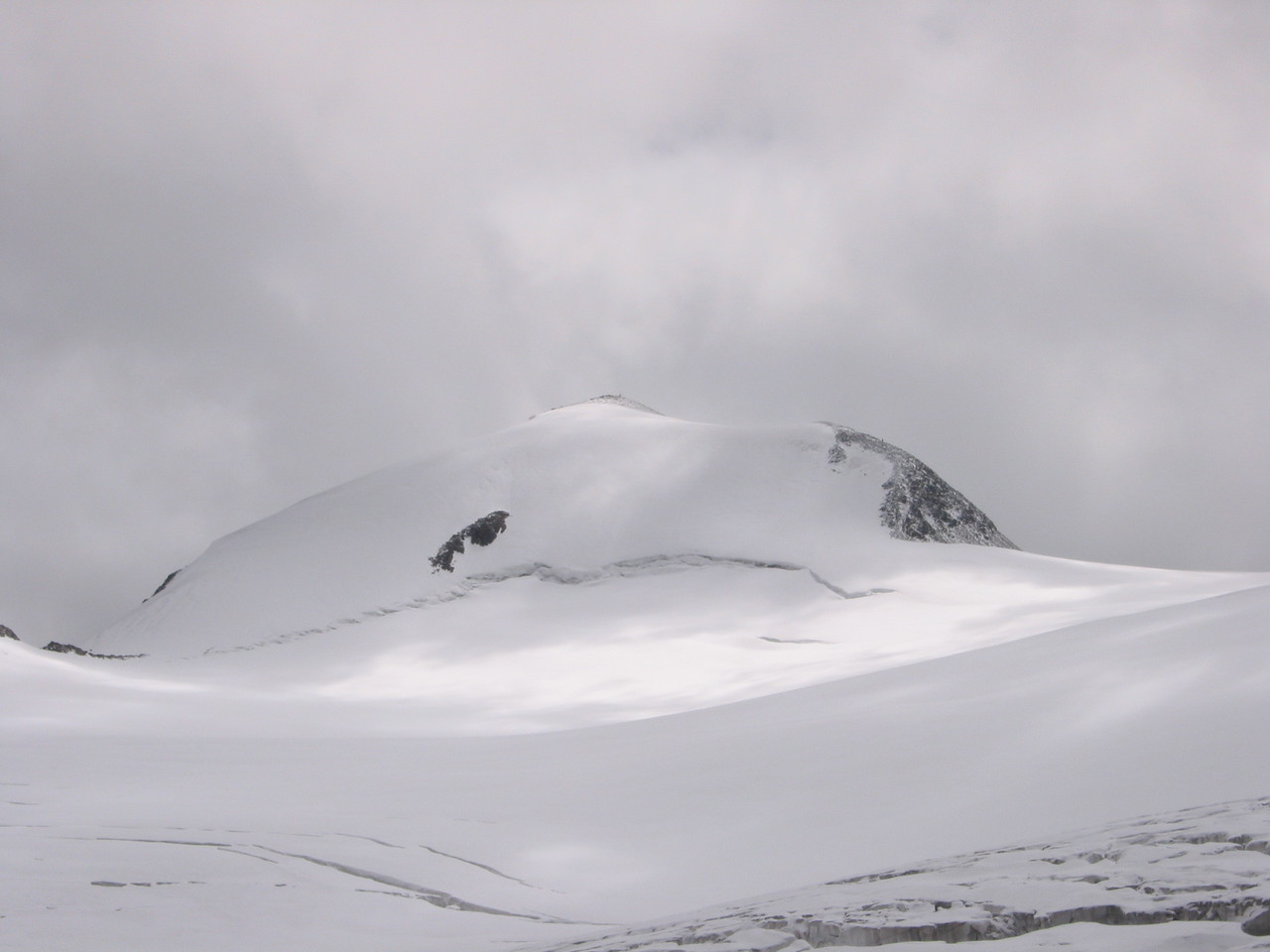 09-derwildepfaff3458m56jdy.jpg