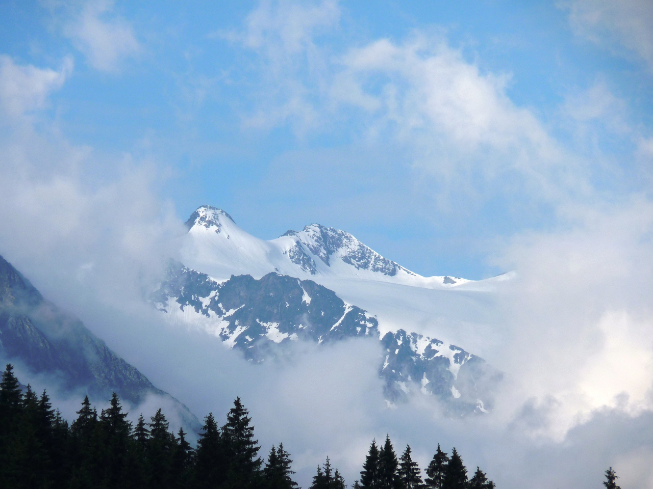 p1010564yfjk5.jpg