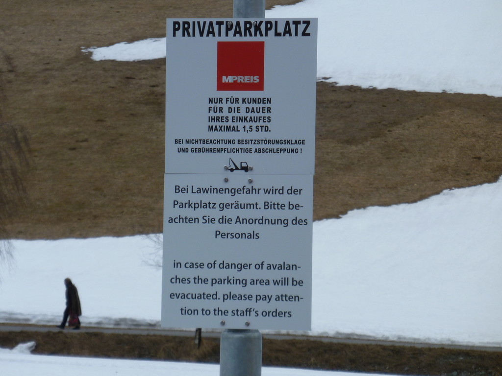 p1030876b1ibs.jpg