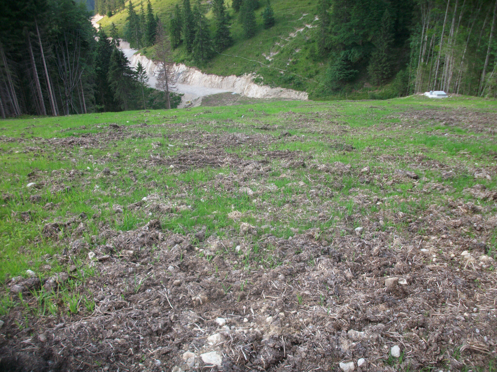 begrnungskiwegpkuej.jpg