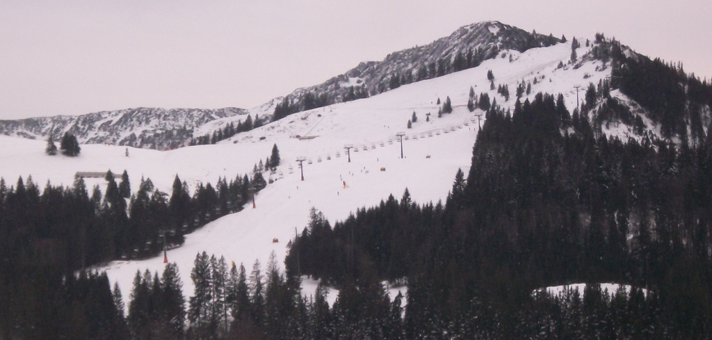kitzlahner46uci.jpg
