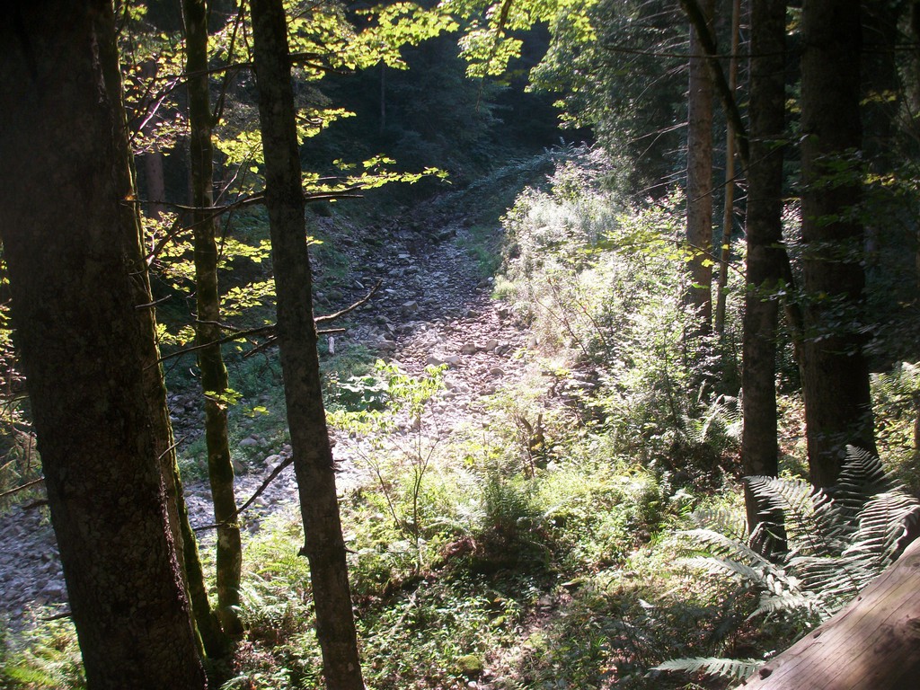 md000776g2kz2.jpg