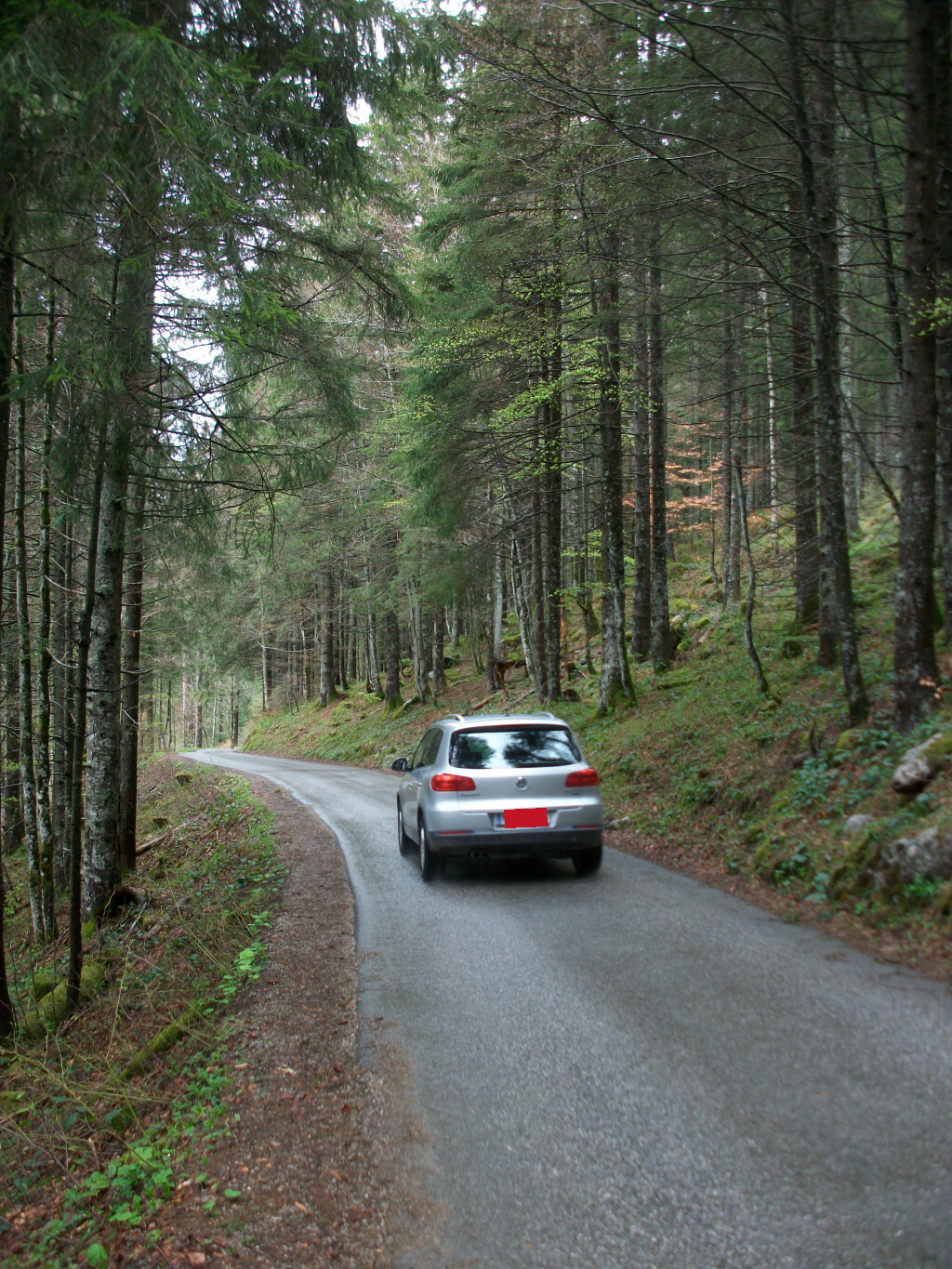 schwarzenkopfweg_1ltu1e.jpg