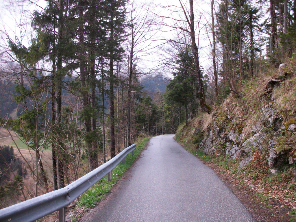 schwarzenkopfweg_251qbc.jpg
