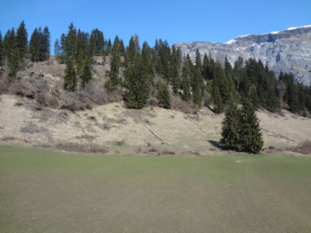 dsc00197q1aou.jpg