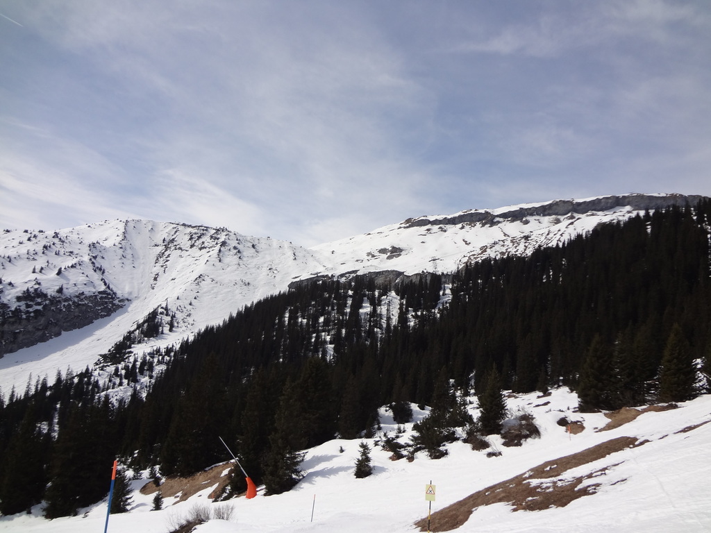 dsc00316y2yu7.jpg