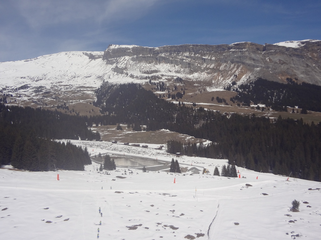 dsc00331lclxf.jpg