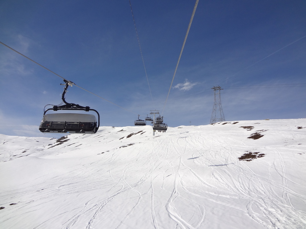 dsc003818fxwt.jpg