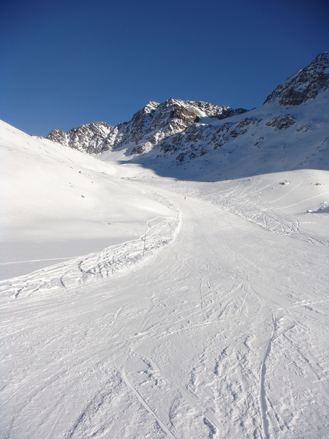 dsc01966opyil.jpg