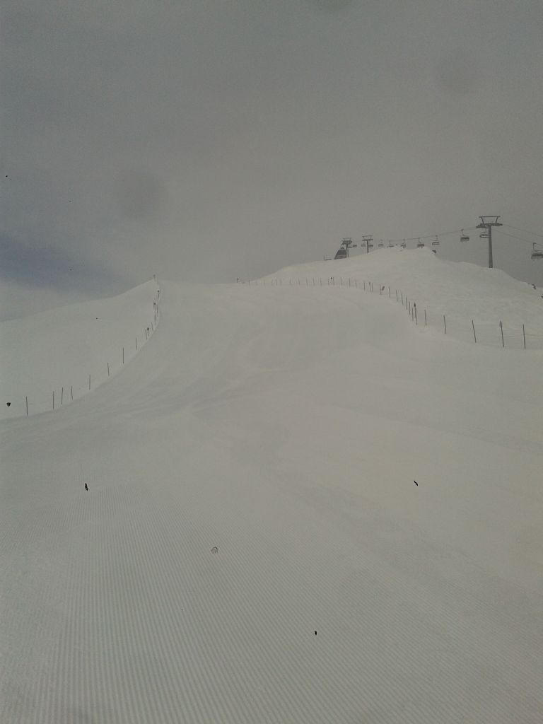 20180403_0907382ts7k.jpg