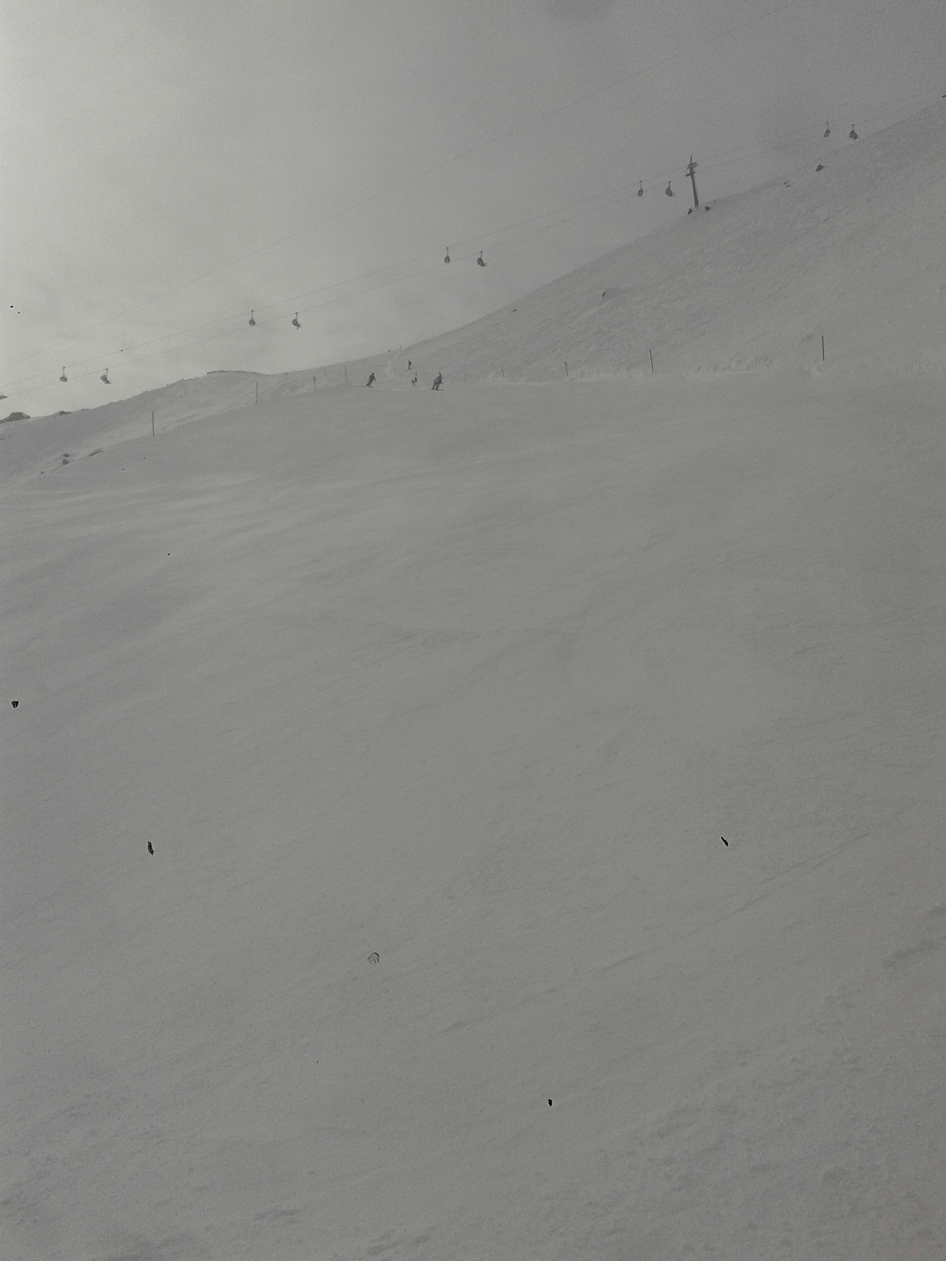 20180403_095024pjsqo.jpg